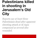 al-jazeera-palestinians-killed-pallywood